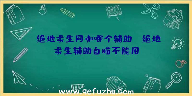 「绝地求生网咖哪个辅助」|绝地求生辅助自瞄不能用